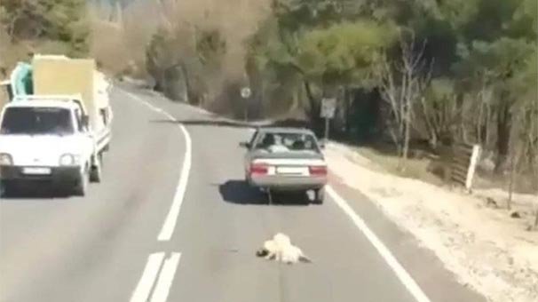 O görüntüler sonrası harekete geçildi! İlk ifadesi ortaya çıktı