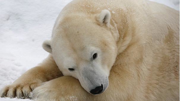 O ülkede yoğun güvenlik önlemleri! Okul ve kreşlerin çevresine...