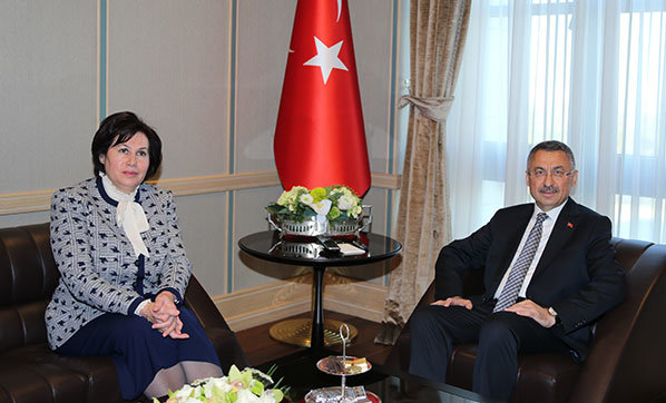 Oktay, Danıştay Başkanı Güngör'ü kabul etti