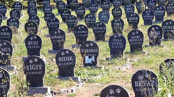 Onlar için özel mezar