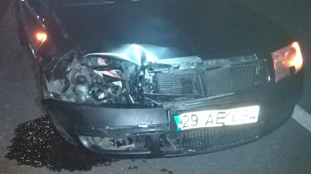 Otomobil ayıya çarptı: 3 çocuk yaralı