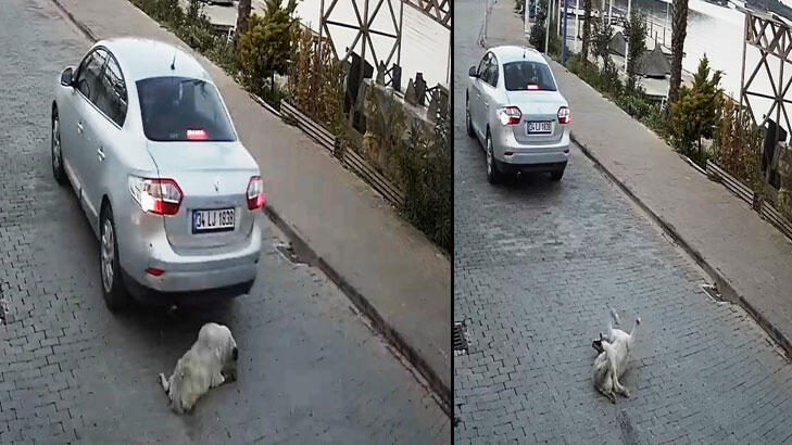 Pes dedirten olay! Önce çarptı sonra bakıp kaçtı