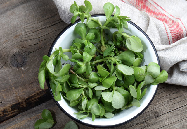 Pirpirim otunun faydaları