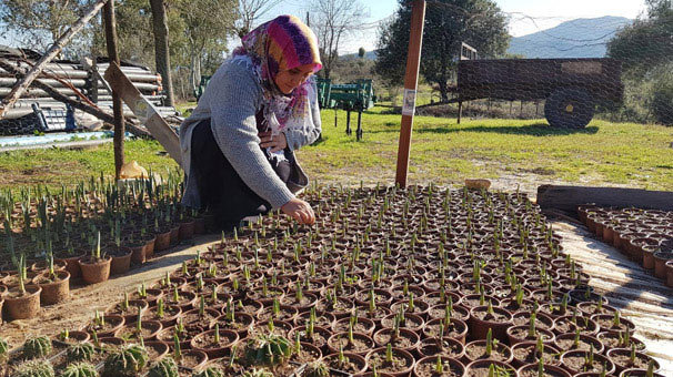 Proje yapıp başladığı işte siparişleri yetiştiremiyor
