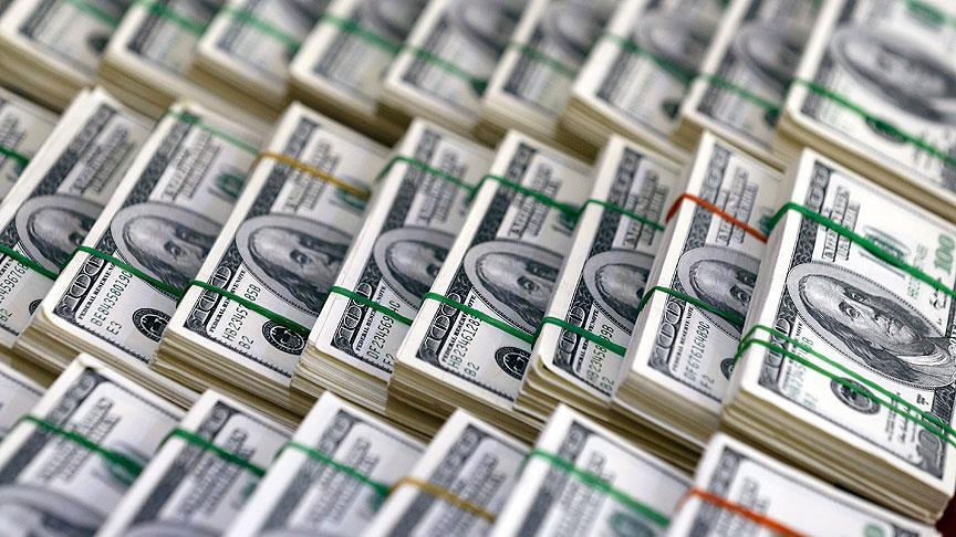 Reel efektif döviz kuru endeksi mayısta geriledi
