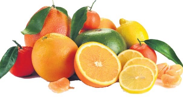 Rusya alacağı narenciyeyi Türkiye’de kontrol ediyor!