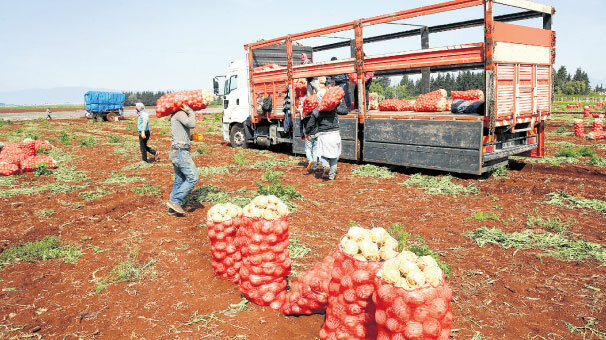 Sanayiye destek, gıdaya çare
