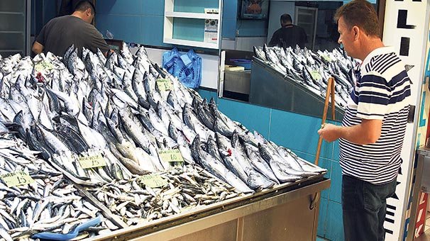 Şarbon korkusu balık satışlarını artırdı