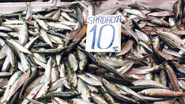 Sardalya bereketi kilosu 10 lira