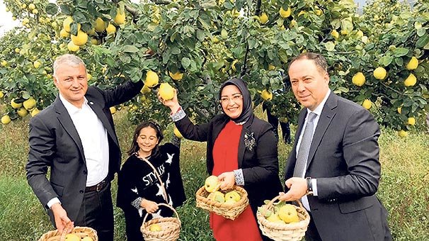 Sebze meyveye 'cep'ten takip