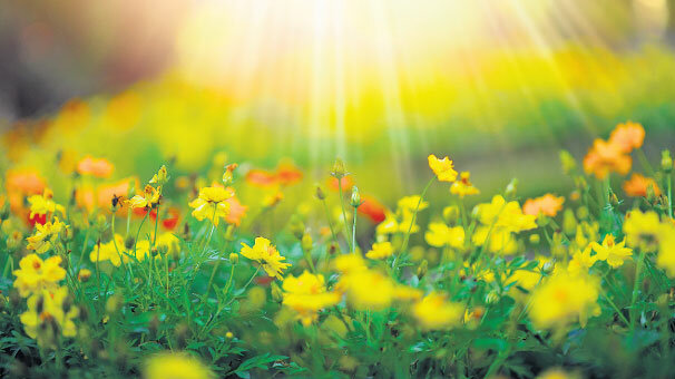 ‘Seçimin kazananı’ çiçekçiler oldu