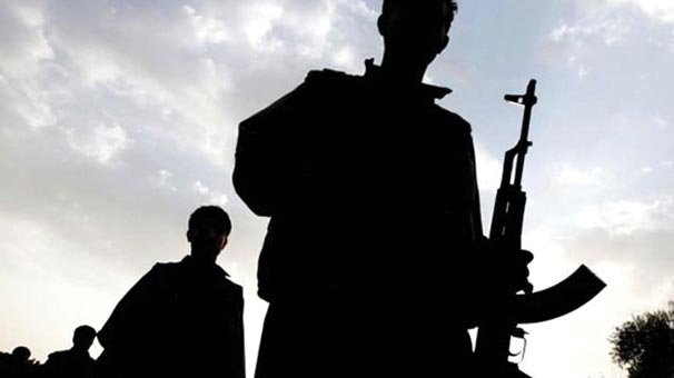 Şemdinli'de 2 PKK'lı teslim oldu