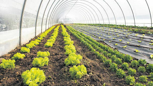 Sera kredisine başvuru yağdı