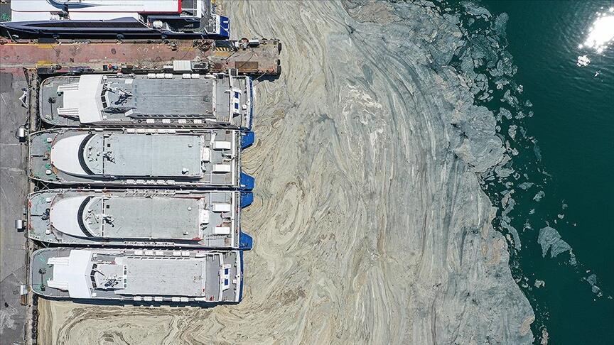 Sezona umutlu giren Güney Marmaralı turizmciler müsilajdan dertli