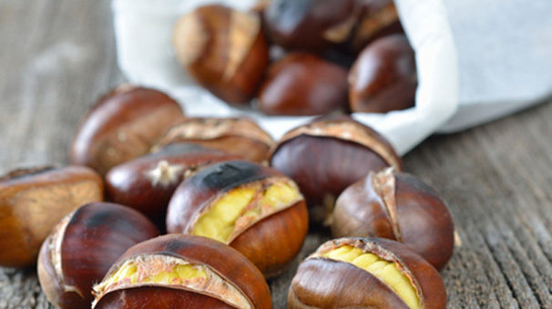 Sezonun ilk kestanesi çıktı