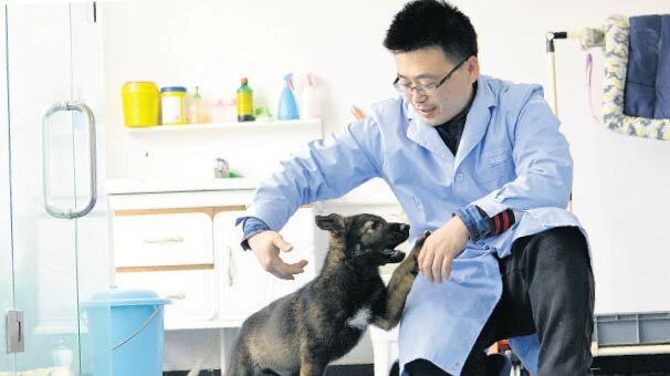 Sherlock  Holmes’u klonladılar