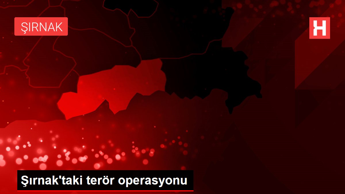Şırnak'taki terör operasyonu