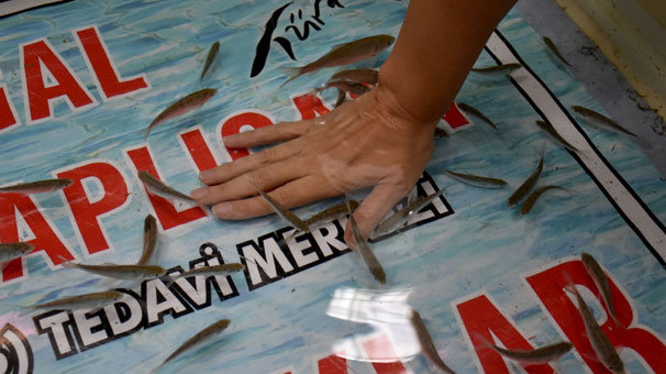 Sivas'ın termal turizmi, 'doktor' balıklarla tanıtıldı