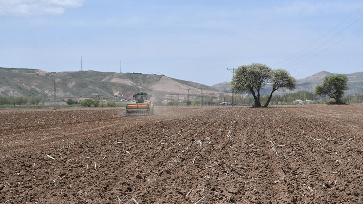 Sivas'ta ilk kenevir tohumları toprakla buluşturuldu