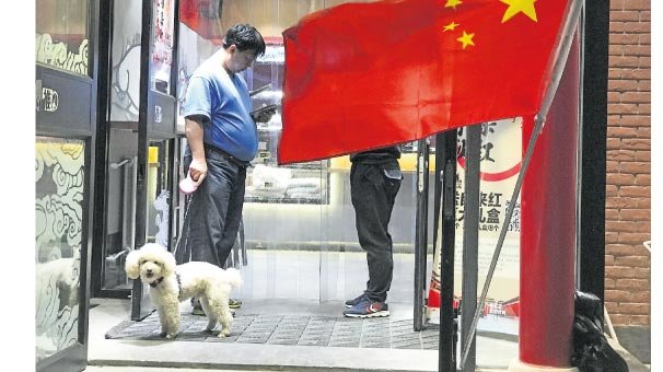 Sokakta köpek gezdirmeye yasak geldi