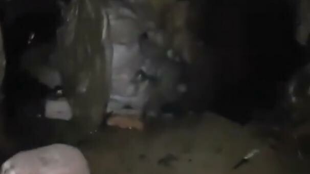 Son dakika... Bakanlık duyurdu! 3 girişli mağarada ele geçirildi