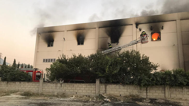 Son dakika! Denizli'de kuruyemiş ve bakliyat işletmesinde yangın! Yaralılar var