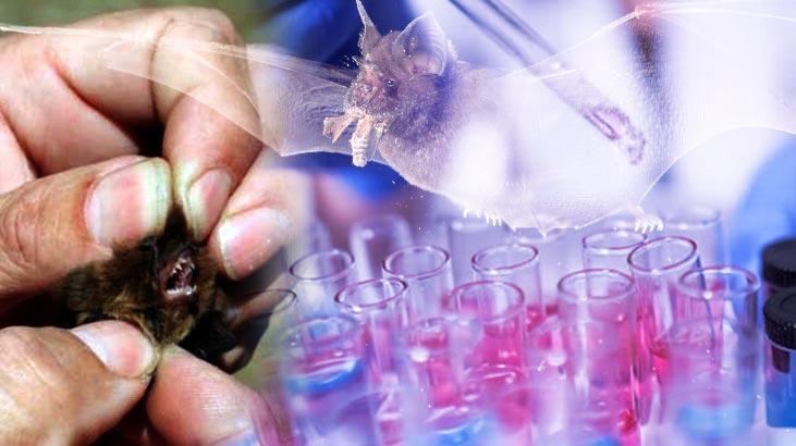 Son dakika haberleri: Çin yine hedefte! 'Hayvanlara işkence ediliyor ve...'