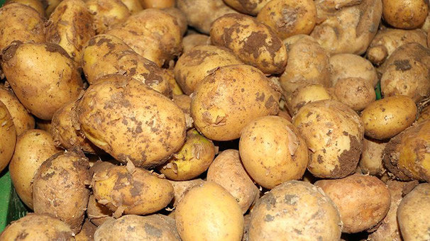Son dakika: Patates ithalatında gümrük vergisi sıfırlandı