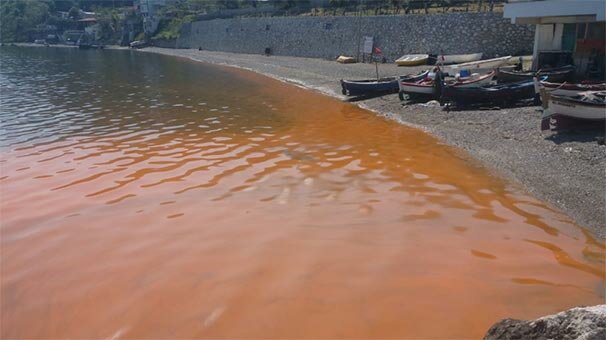 Son yıllarda sıklıkla yaşanıyor! Denizin rengi...