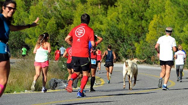 Sporcularla koşan keçiye madalya