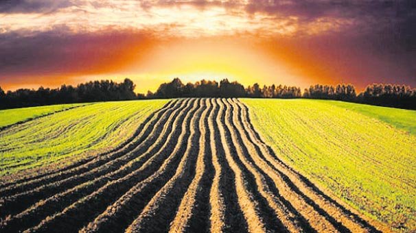 Sudan’daki tarım arazisi 50 yıl sonrasının önlemi