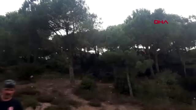 Sultangazi kent ormanı'nda yangın