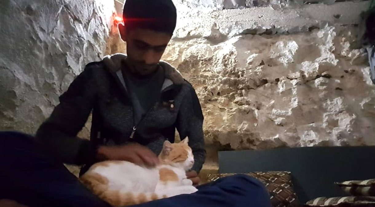 Suriye'nin insanları göçüp kedileri kalan kasabası: Kefr Nebil