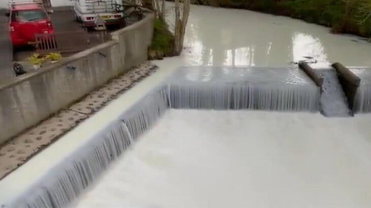 Süt akan nehri görenler şaşkına döndü!