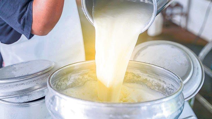 Sütün yarıdan fazlası kayıt dışı