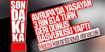 Avrupa'dan dönüş için yoğun talep