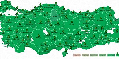 Bir Nefes kampanyasında Şehirlerin fidan sahiplenme oranı
