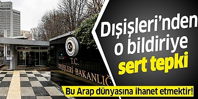 Dışişleri'nden Arap Ligi Genel Sekreterine cevap