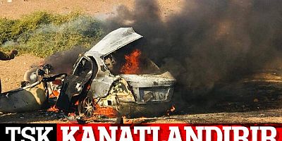 Kandil ve Haftanin'de 3 PKK'lı terörist öldürüldü