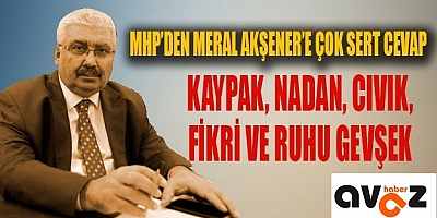 MHP'li E. Semih Yalçın'dan Meral Akşener'e sert yanıt