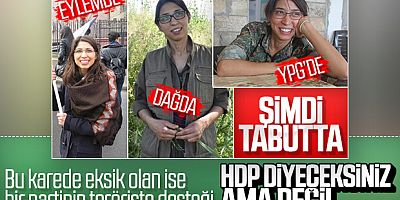 Veli Ağbaba, YPG'li terörist Ceren Güneş'i Meclis'te konuşturmuştu