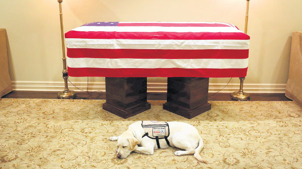 Tabutun başından da ayrılmadı