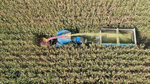 Tarım, gıda ve içecek sektöründe 5,2 milyar dolarlık ihracat