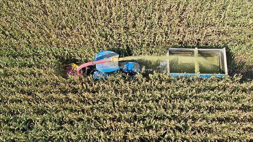 Tarım sektörü 2020'de 20,7 milyar dolarlık ihracat yaptı