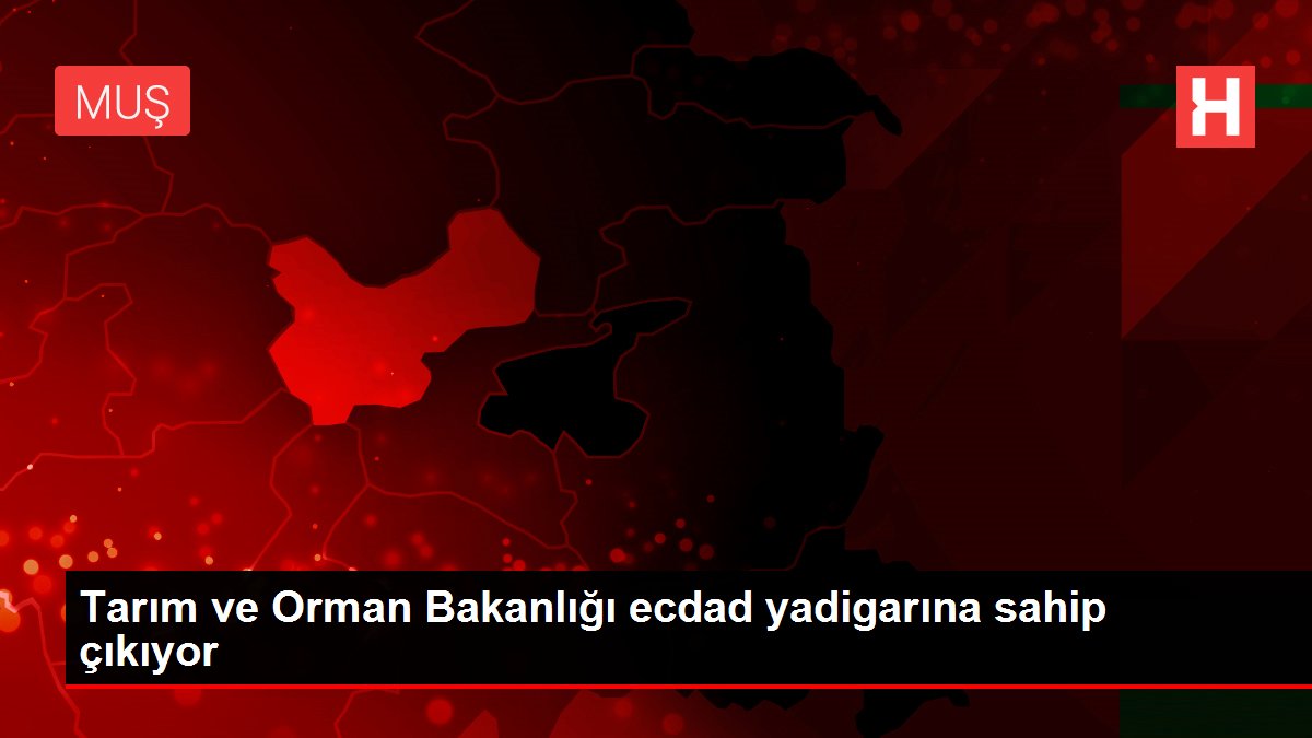 Tarım ve Orman Bakanlığı ecdad yadigarına sahip çıkıyor