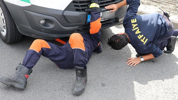 TEM Otoyolu’nda ‘yabani köpek’ operasyonu