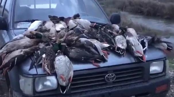 Tepkiler çığ gibi büyüyor! Kar maskeliler her yerde aranıyor