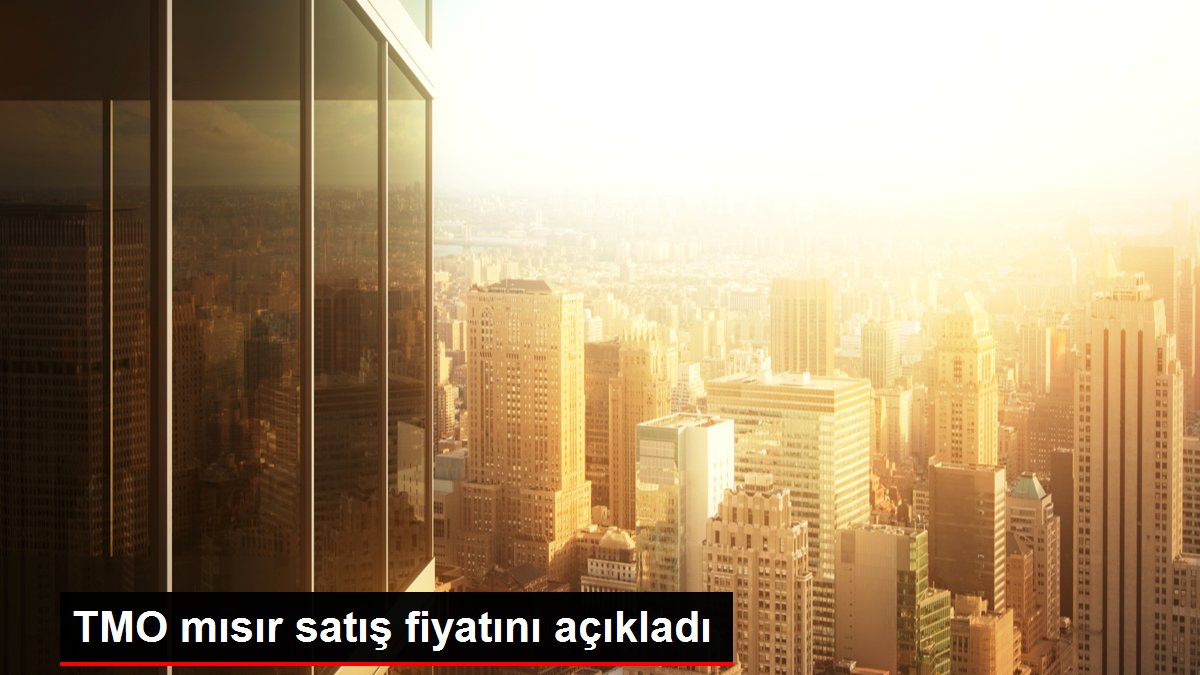 TMO mısır satış fiyatını açıkladı