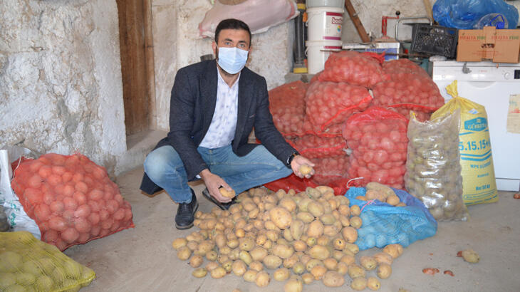 TMO'nun patates alımı Aksaraylı çiftçilerin yüzünü güldürdü