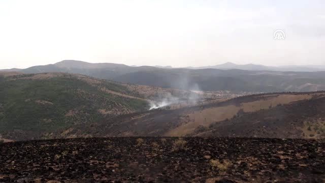 Tokat'taki tarla yangını söndürüldü